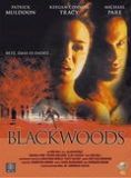 Blackwoods - Hetzjagd in die Vergangenheit